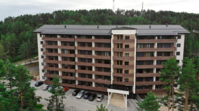 Vila Pekovic Apartman P8 Zlatibor